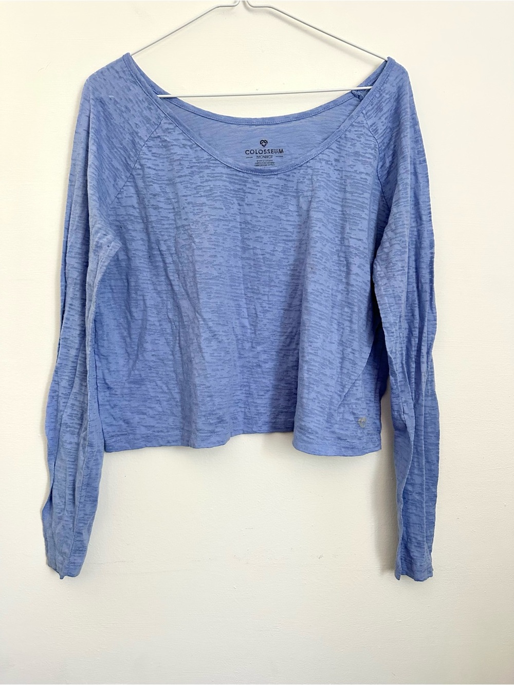 Periwinkle Colosseum Long Sleeve Crop Top